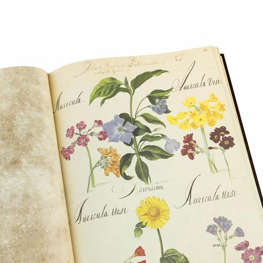 Hortus Amoenissimus. Facsimile with a Commentary volume in English language - Franciscus de Geest - 10