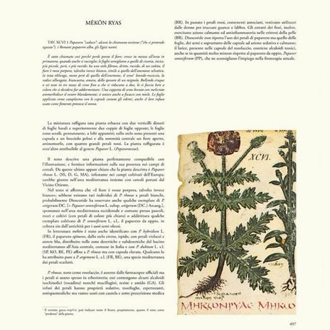 De materia medica. Il Dioscoride di Napoli. Riproduzione facsimilare - Dioscoride di Anazarbo - 8
