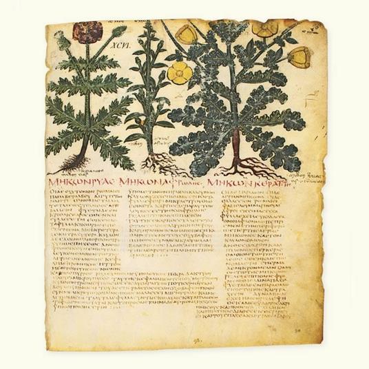 De materia medica. Il Dioscoride di Napoli. Riproduzione facsimilare - Dioscoride di Anazarbo - 9