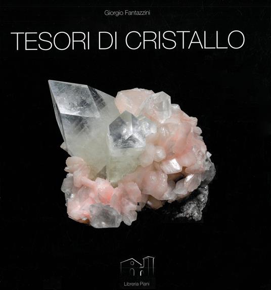 Tesori di cristallo. Una collezione mineralogica in 268 immagini e una manciata di ricordi - Giorgio Fantazzini,Paolo Forti - copertina