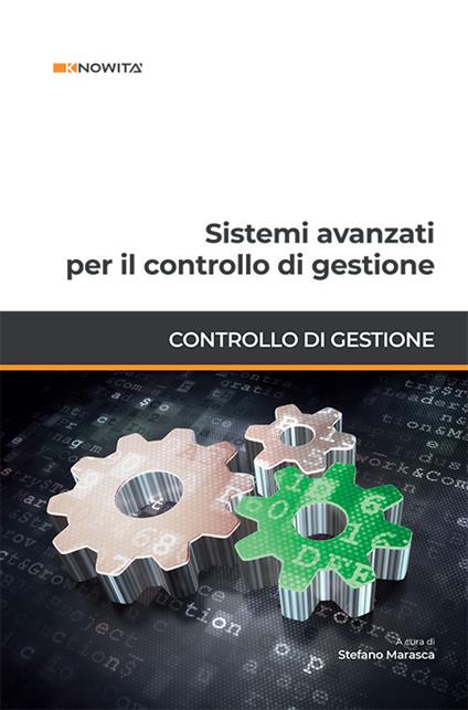 Sistemi avanzati per il controllo di gestione - copertina