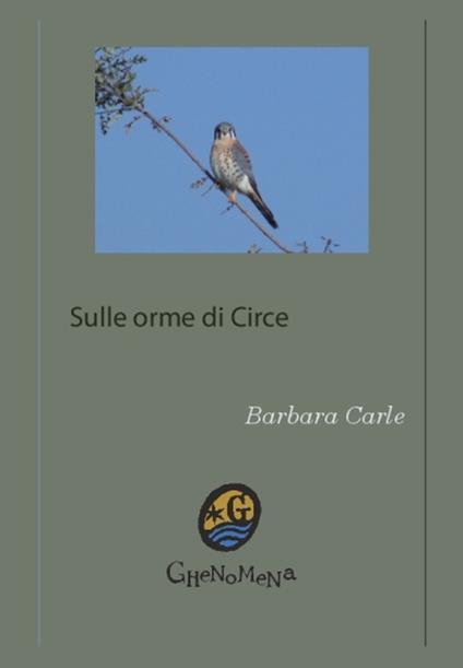 Sulle orme di Circe. Incontri a Formia - Barbara Carle - copertina