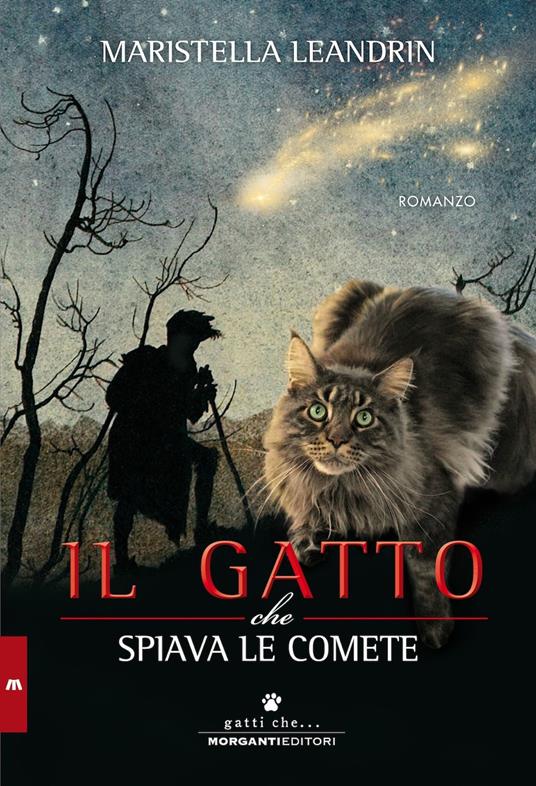 Il gatto che spiava le comete - Maristella Leandrin - copertina