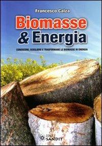 Biomasse & energia. Conoscere, scegliere e trasformare le biomasse in energia - Francesco Calza - copertina