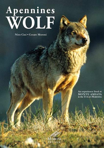 Appennines Wolf. An experience lived at Monte Amiata in the Tuscan Maremma - Niso Cini,Cesare Moroni - copertina