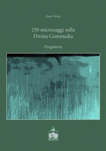 250 microsaggi sulla Divina Commedia. Purgatorio - Enzo Noris - ebook