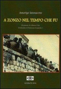 A zonzo nel tempo che fu - Amerigo Iannacone - copertina