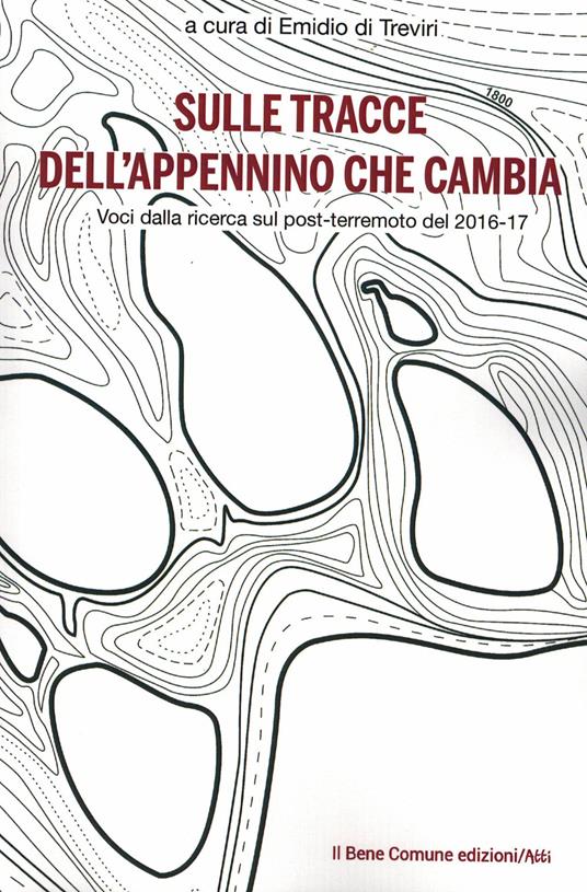 Sulle tracce dell'Appennino che cambia. Voci dalla ricerca sul post-terremoto del 2016-17 - copertina