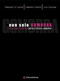 Non solo Gomorra. Tutto il cinema di Matteo Garrone - Pierpaolo De Sanctis,Domenico Monetti,Luca Pallanch - copertina