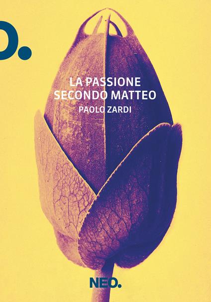 La passione secondo Matteo - Paolo Zardi - ebook