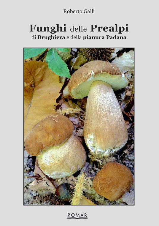 Funghi delle Prealpi, di Brughiera e della pianura Padana - Roberto Galli - copertina