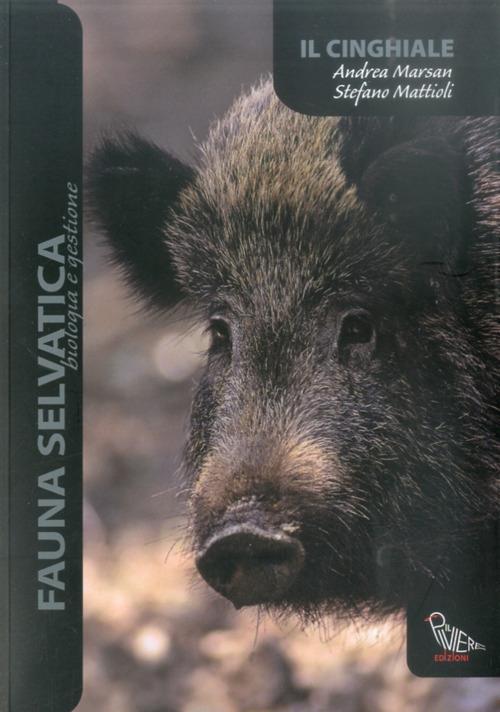 Il cinghiale - Stefano Mattioli,Andrea Marsan - copertina