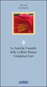 Le antiche camelie delle colline pisane: Crespina e Lari