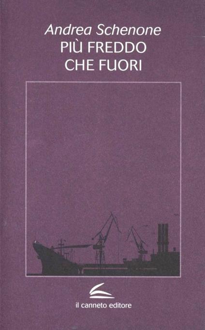 Più freddo che fuori - Andrea Schenone - copertina