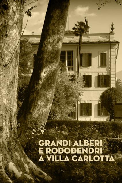 Grandi alberi e rododendri a Villa Carlotta - copertina