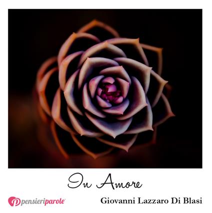 In amore - Giovanni Lazzaro Di Blasi - copertina