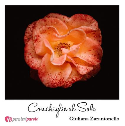 Conchiglie al sole - Giuliana Zarantonello - copertina