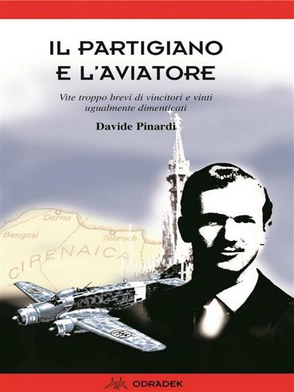 Il partigiano e l'aviatore. Vite troppo brevi di vincitori e vinti ugualmente dimenticati - Davide Pinardi - ebook