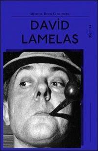 Drawing room confessions. David Lamelas. Ediz. illustrata. Vol. 4 - David Lamelas - copertina