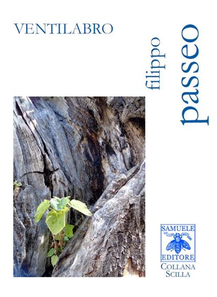 Ventilabro - Filippo Passeo - copertina