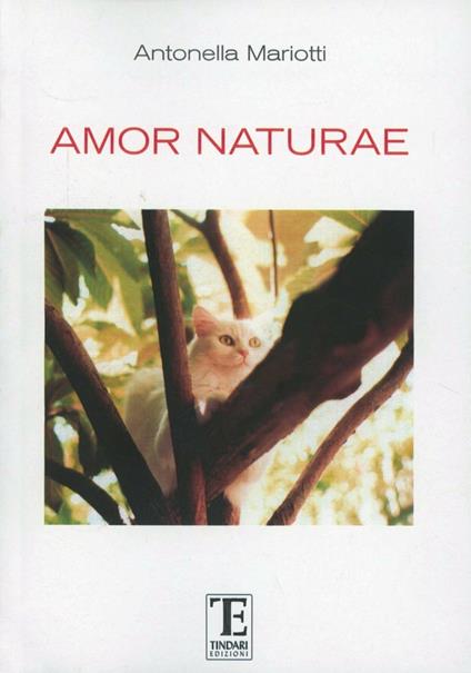 Amor naturae. Prima della conoscenza - Antonella Mariotti - copertina