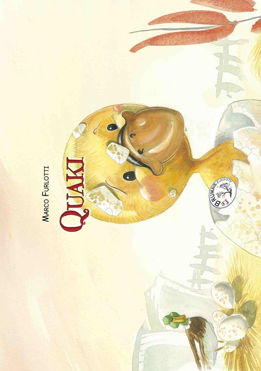 Quaki - Marco Furlotti - copertina