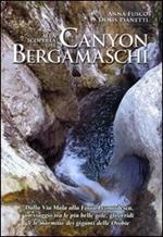 Alla scoperta dei canyon bergamaschi. Dalla Via Mala alla Forra Leonardesca, un viaggio tra le più belle gole, gli orridi e le marmitte dei giganti delle Orobie