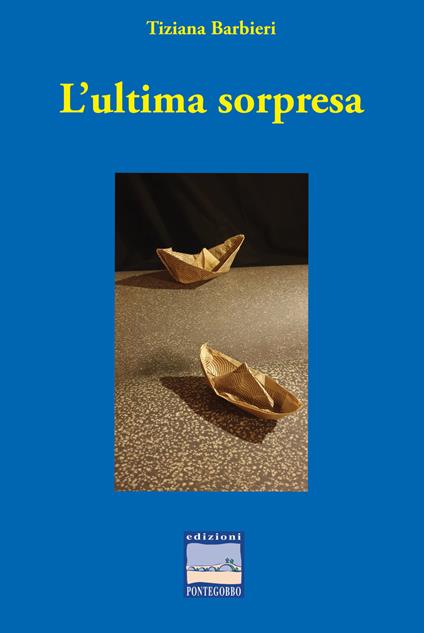 L'ultima sorpresa - Tiziana Barbieri - copertina