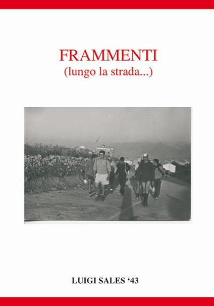 Frammenti. Lungo la strada... - Luigi Sales - copertina