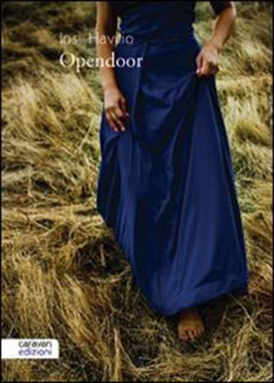 Open door - Iosi Havilio - copertina