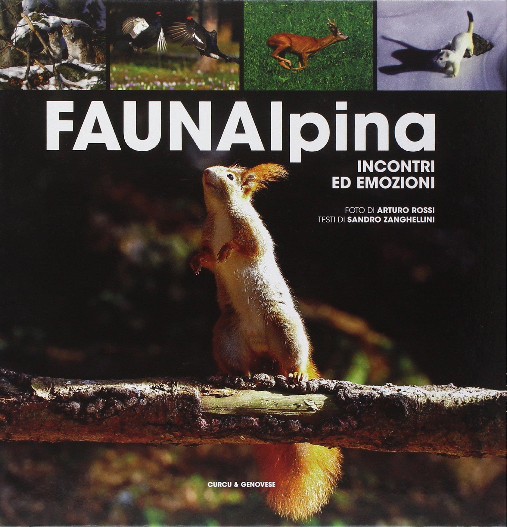 Libreria Volume Secondo
