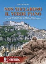 Non toccarono il verde piano. Cronache della battaglia di Monte Novegno maggio-giugno 1916