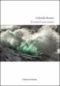 Io sono il mare mosso - Gabriella Rossini - copertina