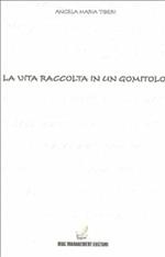 La vita raccolta in un gomitolo