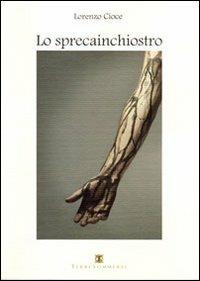 Lo sprecainchiostro - Lorenzo Cioce - copertina