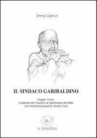 Il sindaco garibaldino. Angelo Troisi, il patriota che finanziò la spedizione dei Mille con tremilacinquecento ducati d'oro - Jenny Capozzi - copertina