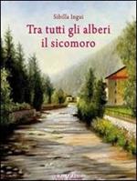 Tra tutti gli alberi il sicomoro