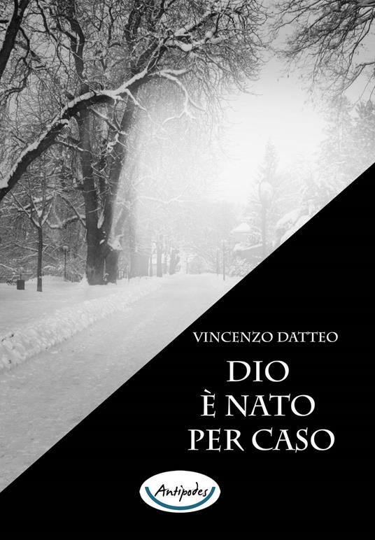 Dio è nato per caso - Vincenzo Datteo - copertina