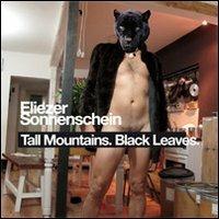 Eliezer Sonnenschein, tall mountain, black leaves (March 24-may 21, 2011). Exhibition catalogue. Ediz. italiana e inglese - copertina