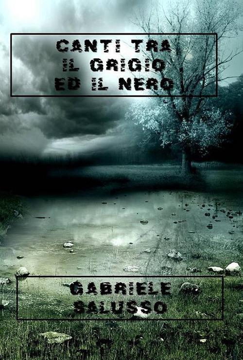 Canti tra il grigio ed il nero - Gabriele Salusso - copertina