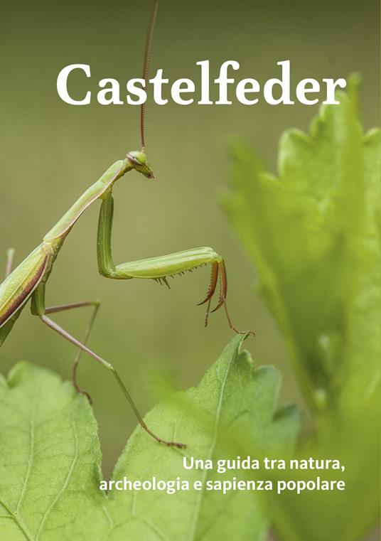 Castelfeder. Una guida tra natura, archeologia e sapienza popolare - copertina