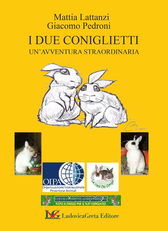I due coniglietti. Un'avventura straordinaria - Mattia Lattanzi,Giacomo Pedroni - copertina