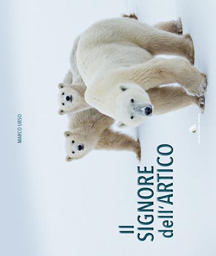 Il signore dell'Artico. Ediz. illustrata - Marco Urso - copertina