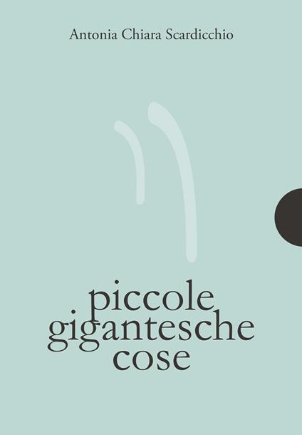 Piccole gigantesche cose - Antonia Chiara Scardicchio - ebook