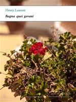 Bagna quei gerani