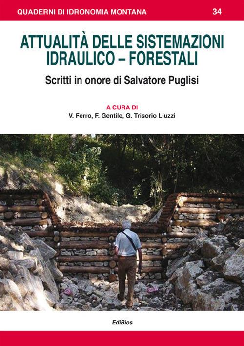 Attualità delle sistemazioni idraulico-forestali. Scritti in onore di Salvatore Puglisi - copertina