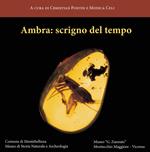 Ambra: scrigno del tempo. Ediz. illustrata