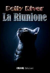 La riunione - Polly River - copertina