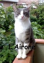 L' airone