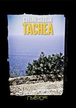 Tachea